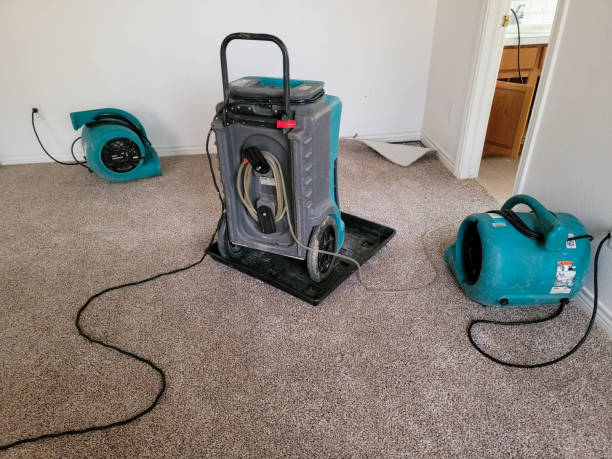 Best Residential water damage restoration  in Wernersville, PA