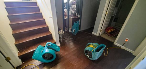 Best Water damage cleanup near me  in Wernersville, PA