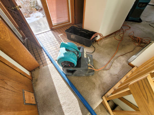Best Water damage contractors near me  in Wernersville, PA