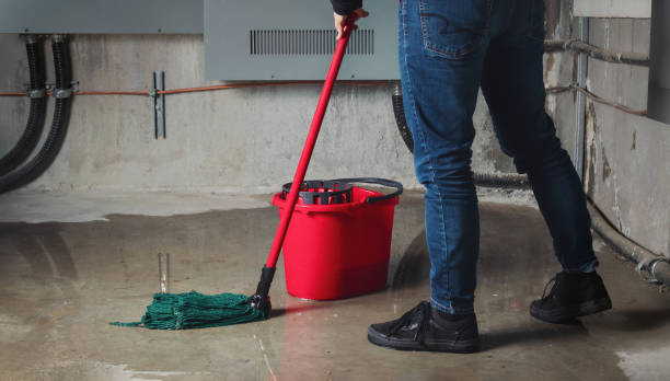 Best Mold removal after water damage  in Wernersville, PA