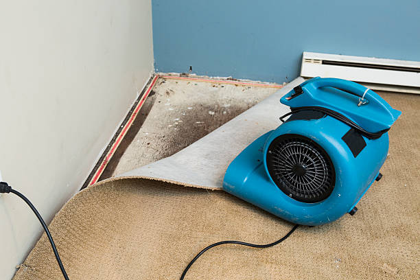 Trusted Wernersville, PA Water damage restoration Experts